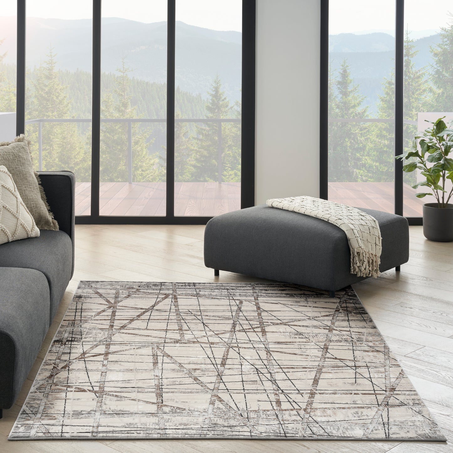 Desire Black & Silver Rug