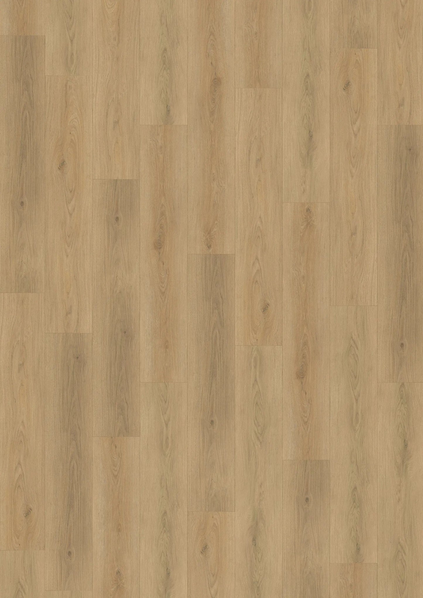 Kahrs Hacienda Palomino